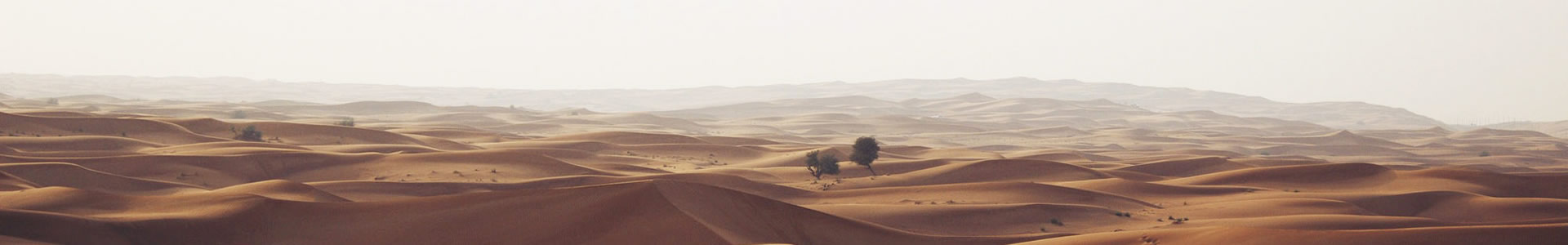аƼ޹˾